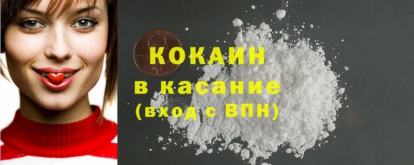 крисы Галич