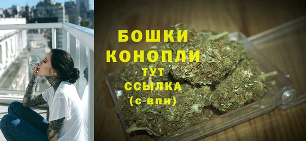 МДПВ Нея