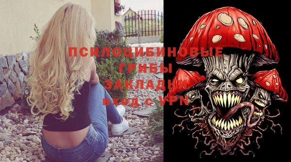 ПСИЛОЦИБИНОВЫЕ ГРИБЫ Нефтегорск