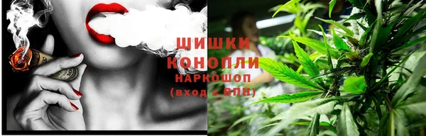 МДПВ Нея