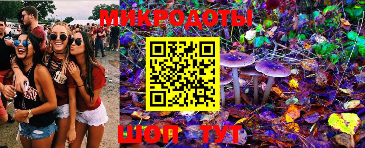Псилоцибиновые грибы GOLDEN TEACHER Старая Купавна