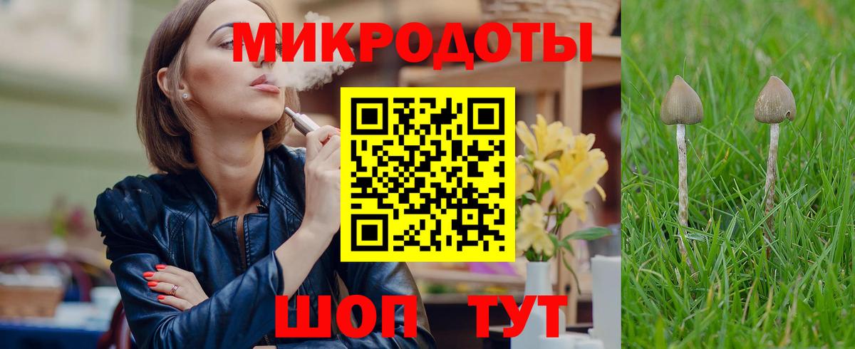 Старая Купавна  Псилоцибиновые грибы Psilocybine cubensis  Вход с VPN 